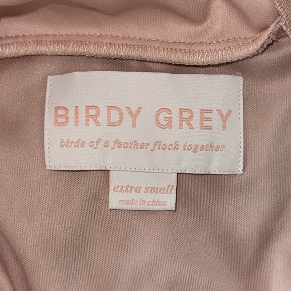 Birdy Grey Elsye Dress Mesh Dusty Rose - Picture 9 of 12